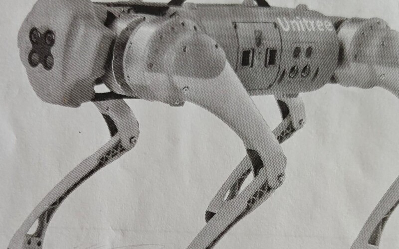 Perro robótico: En la Universidad de Ciencias y Tecnología de Los Lagos, X región
