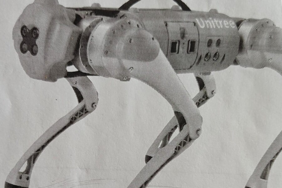 Perro robótico: En la Universidad de Ciencias y Tecnología de Los Lagos, X región