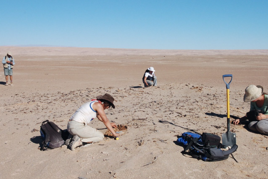 Cambio Climático y Salud y seguridad en el trabajo: Una crisis que no podemos ignorar