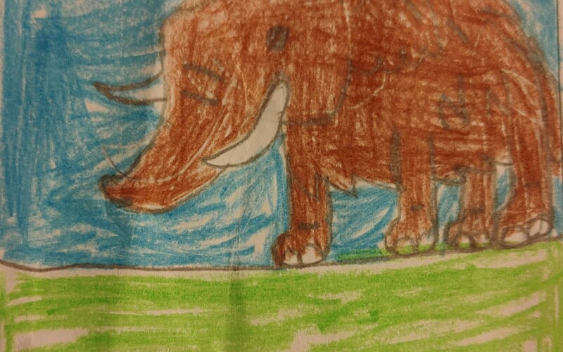 Polo Sur: Encontraron un mamut lanudo extinto en el Polo Sur