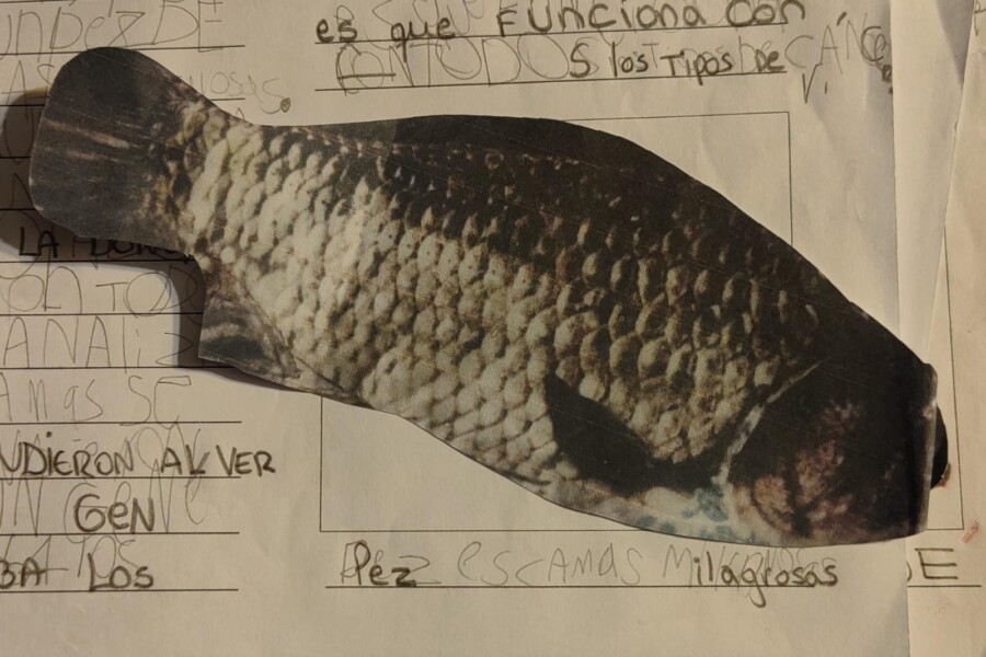 Chile, Valparaíso: Científicoso hayan la cura del cáncer
