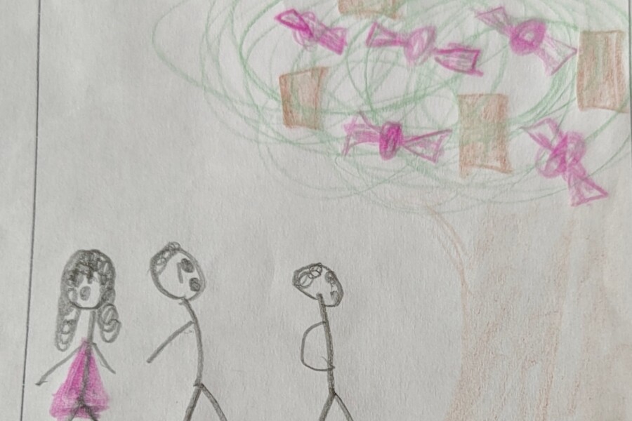 Santiago: Niños encuentran un árbol que da chocolates