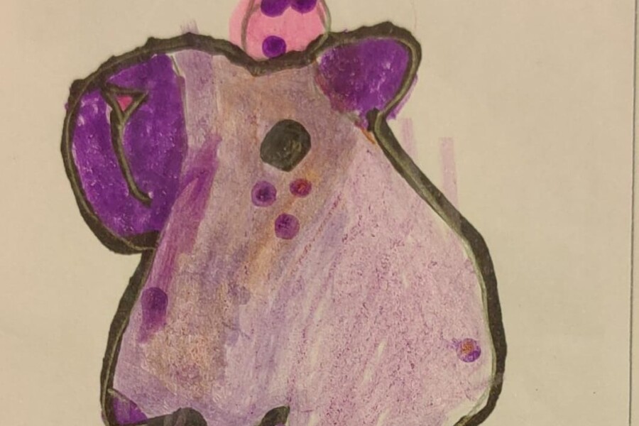 Inusual hallazgo: Encuentran capibara morado en Perú