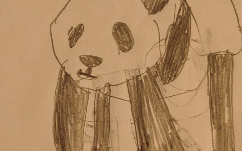 Australia: ¡Un Panda ha nacido!