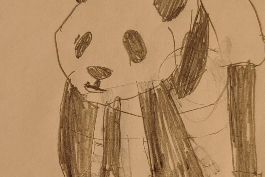 Australia: ¡Un Panda ha nacido!