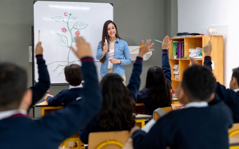 Profesores/as: Lanzan charlas gratuitas de formación para docentes y bienestar en comunidades escolares